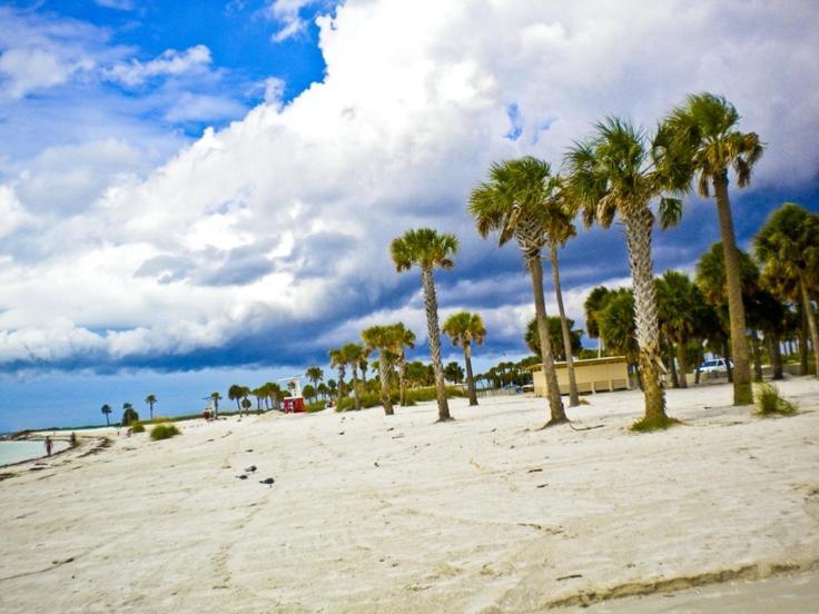 Walk Everywhere! 1-Bedroom Gem In Downtown Hub New Port Richey Buitenkant foto