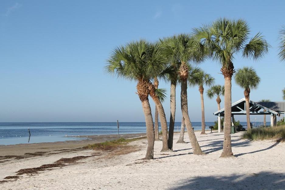 Walk Everywhere! 1-Bedroom Gem In Downtown Hub New Port Richey Buitenkant foto